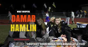 Damar Hamlin's Hospitalization: What Happened and How He's Recovering