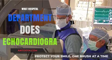 Echocardiogram Explained: Which Hospital Department Performs This Heart Test?