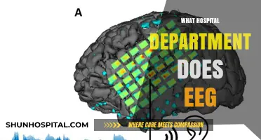 Which Hospital Department Performs EEG Tests and Why It Matters