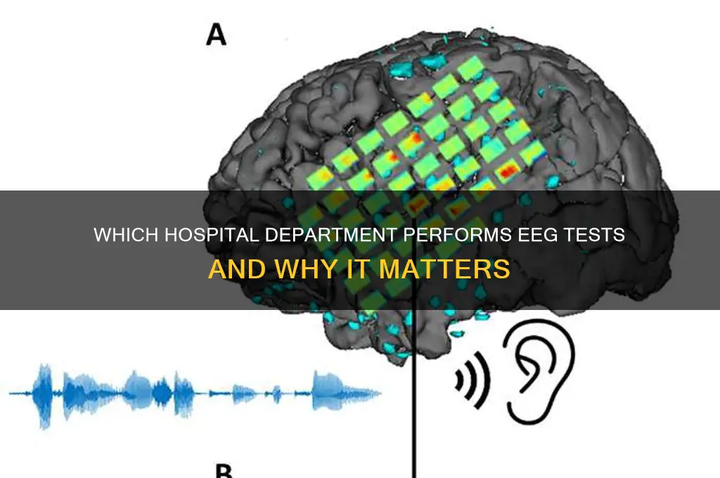 what hospital department does eeg