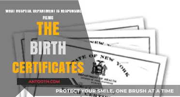Which Hospital Department Handles Filing Birth Certificates: A Guide