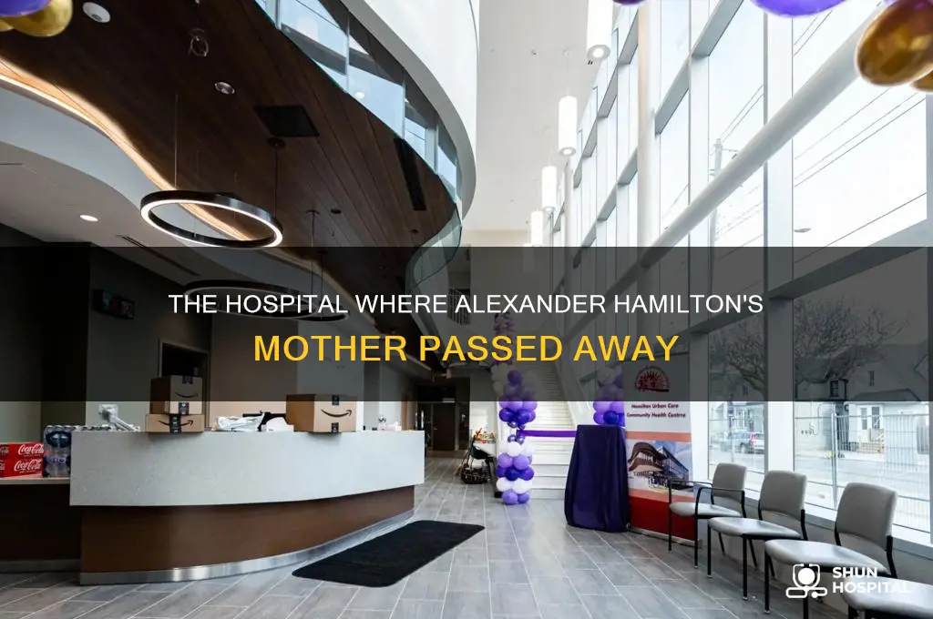 what hospital did alexander hamilton