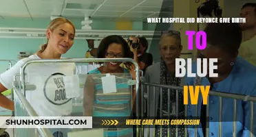 Where Blue Ivy Was Born: Beyoncé's Hospital Choice Revealed