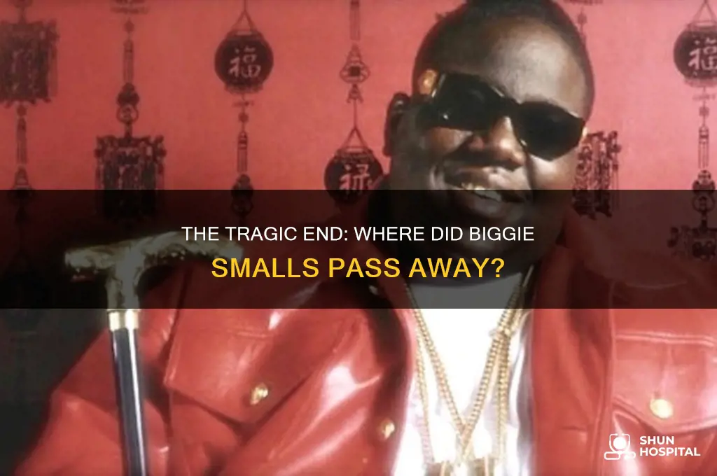 what hospital did biggie die