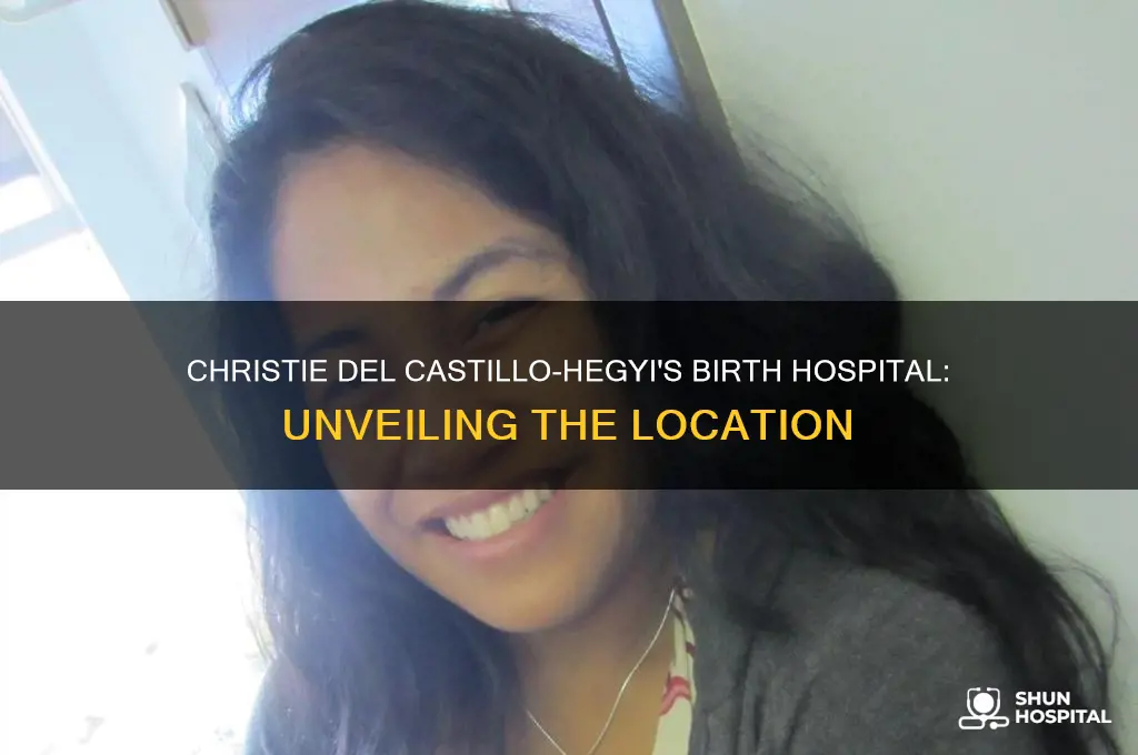 what hospital did christie del castillo-hegyi give birth at