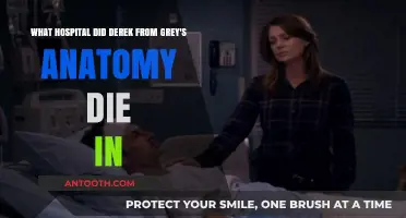 Derek Shepherd's Tragic Grey's Anatomy Death: Which Hospital Was It?