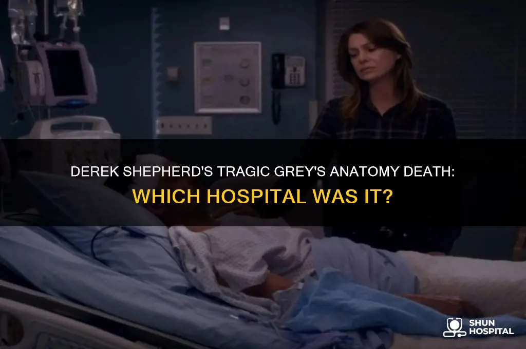 what hospital did derek from grey