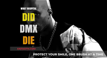 Where DMX Passed Away: The Hospital and His Final Moments