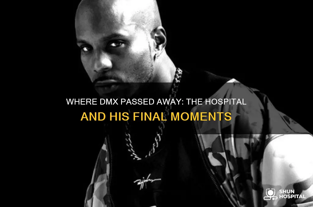what hospital did dmx die