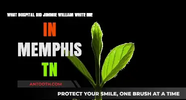 Jimmie William White's Final Days: Memphis Hospital Revealed