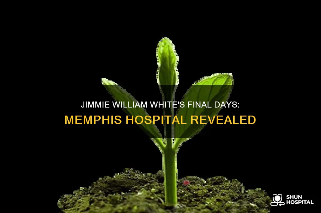 what hospital did jimmie william white die in memphis tn