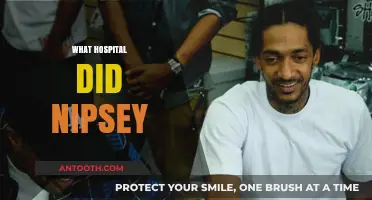 Where Nipsey Hussle Was Treated: The Hospital That Tried to Save Him