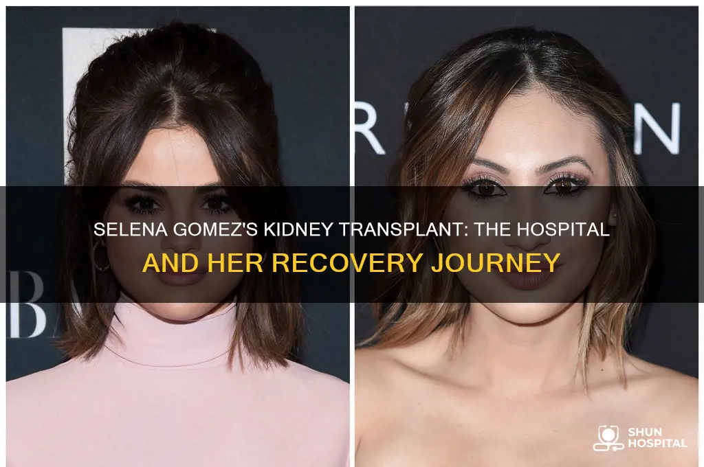 what hospital did selena gomez have her kidney transplant