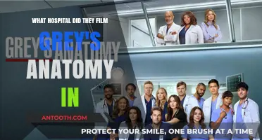 Where Grey's Anatomy Comes to Life: The Hospital Filming Location