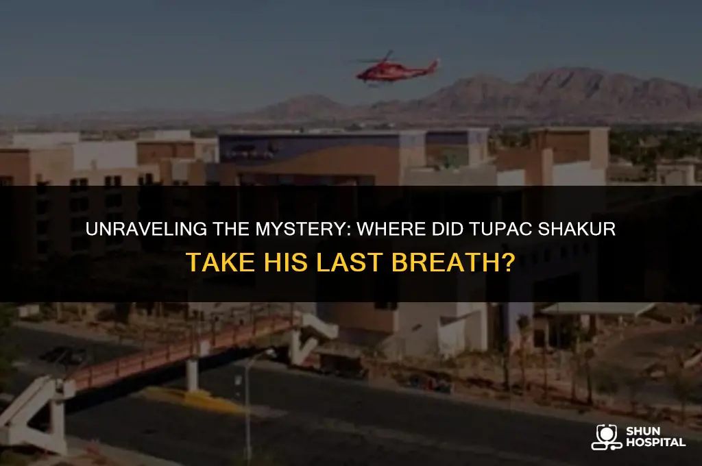 what hospital did tupac die in