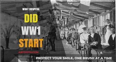 The Hospital Where World War I Began: Uncovering the Origins