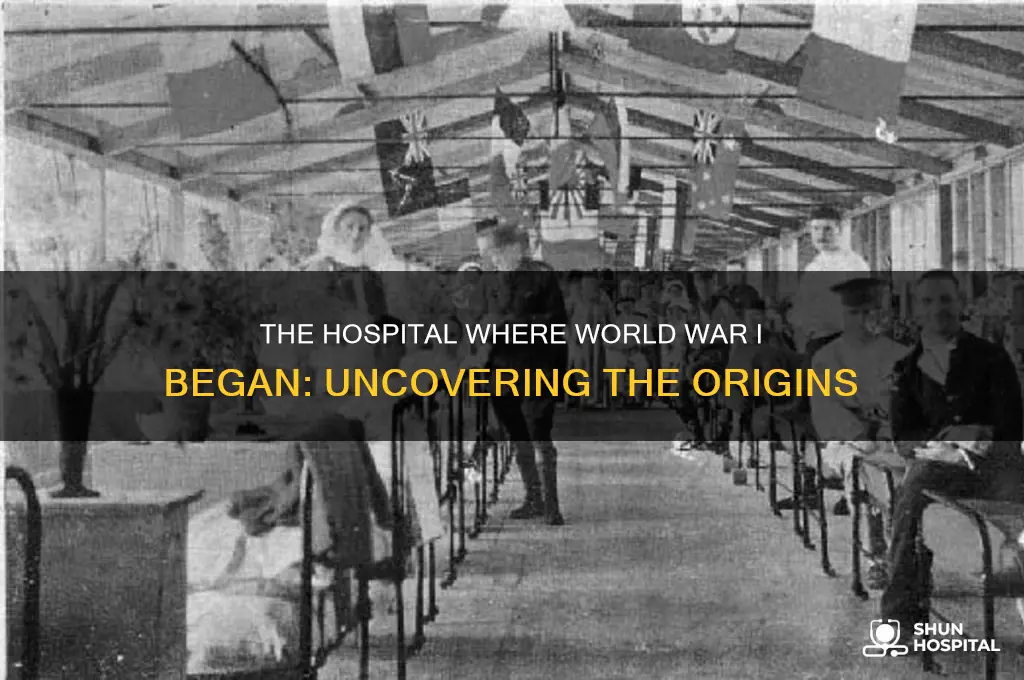 what hospital did ww1 start