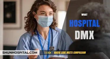DMX's Final Days: Which Hospital Cared for the Rap Legend?