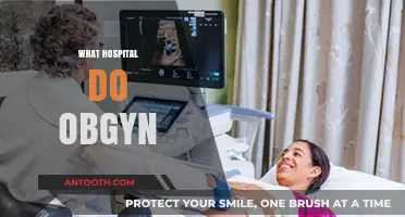 Where OBGYNs Practice: Understanding Hospital Affiliations and Care Settings