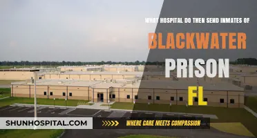 Blackwater Prison FL Inmates: Hospital Transfers and Medical Care Explained
