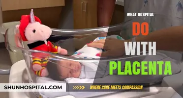 What Happens to Your Placenta After Birth? Hospital Procedures Explained