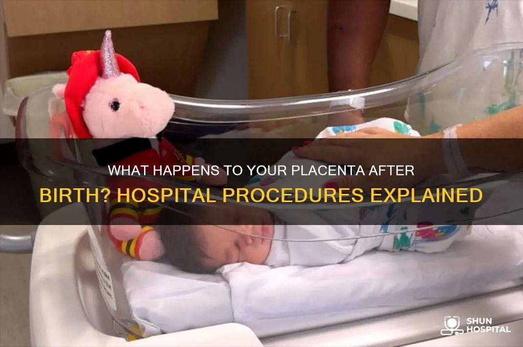 what hospital do with placenta