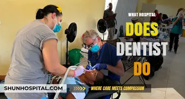 Where Dentists Work: Understanding Hospital-Based Dental Care and Roles