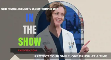 Seattle Grace vs. Competitors: Rival Hospitals in Grey's Anatomy Explored