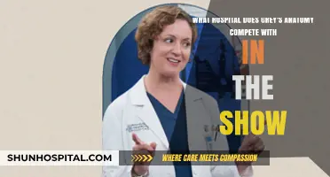 Grey's Anatomy's Rival Hospital: Seattle Grace's Fiercest Competitor Revealed
