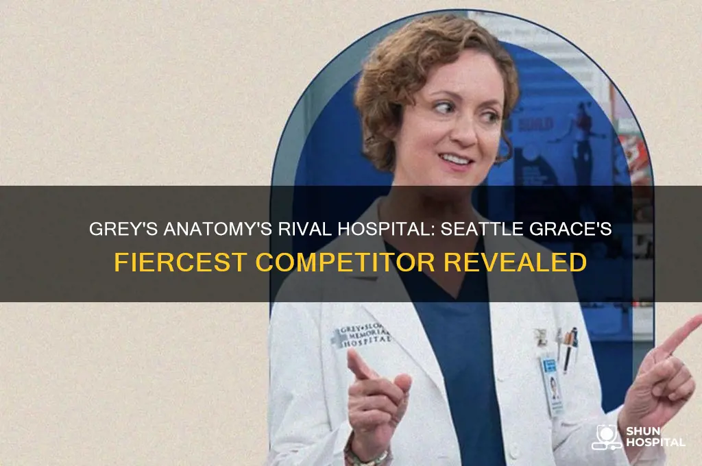 what hospital does grey