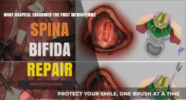 Pioneering Hospital Performs First Successful In Utero Spina Bifida Repair