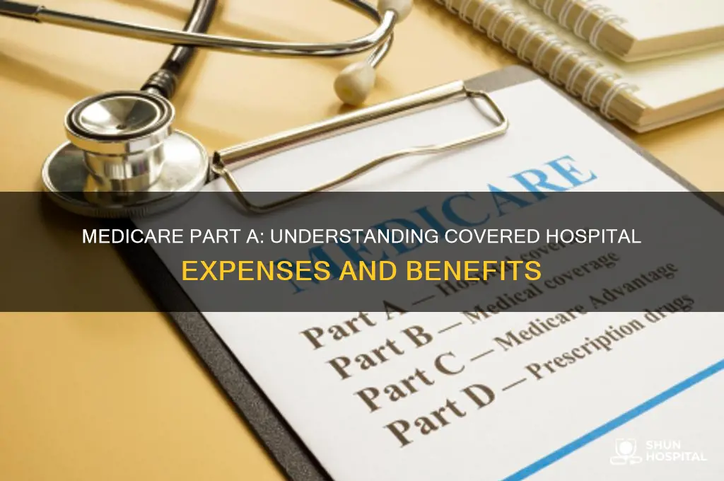 what hospital expenses are covered by medicare part a