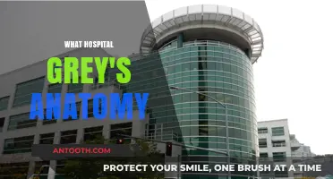 Exploring the Iconic Hospital Setting of Grey's Anatomy: A Deep Dive