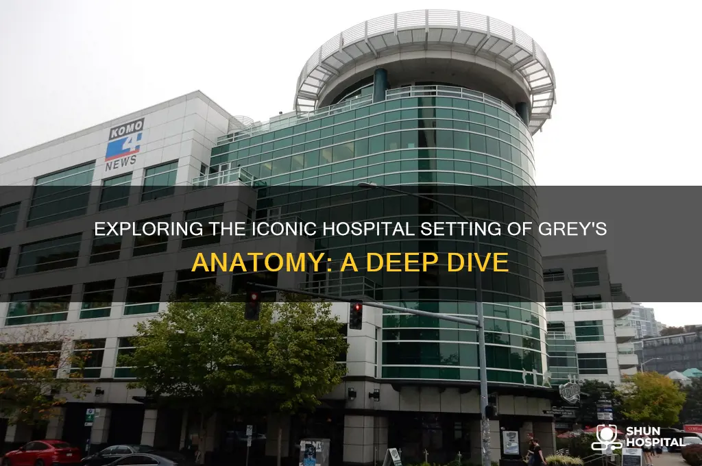 what hospital grey