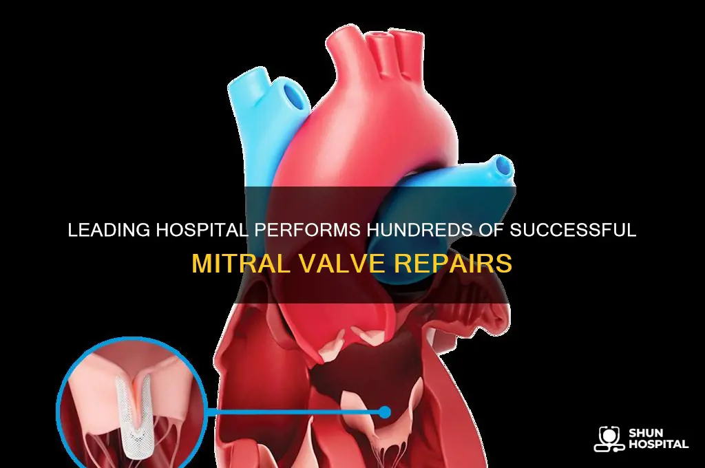 what hospital has done hundred of mitral valve repair