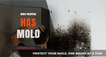 Uncovering Mold Infestations: Which Hospitals Are Affected and Why?