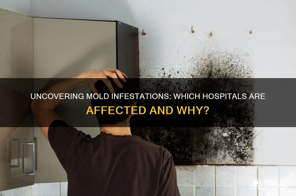 what hospital has mold
