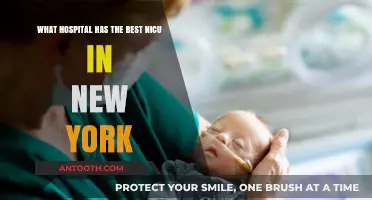 Top-Rated NICU Care: New York's Best Hospitals for Newborns