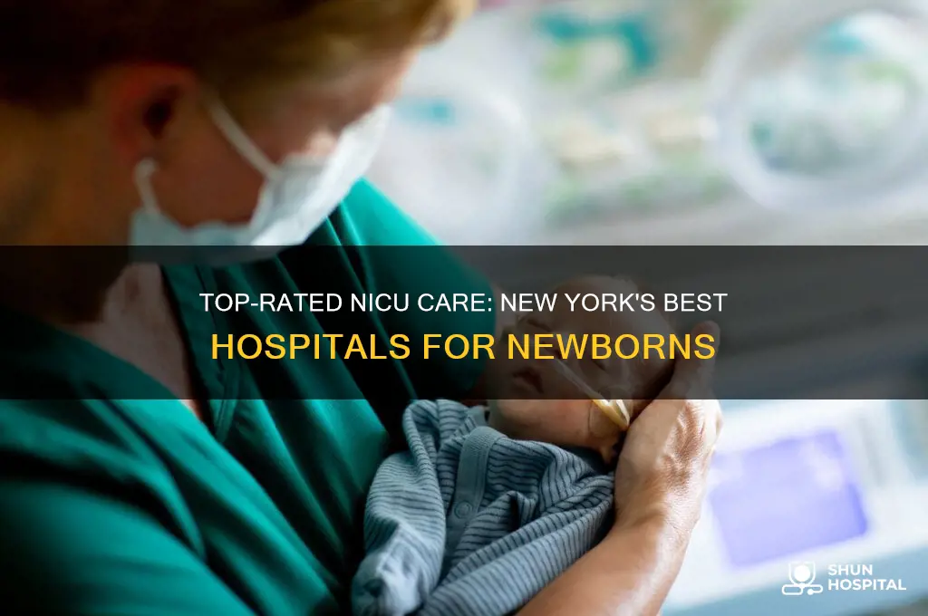 what hospital has the best nicu in new york