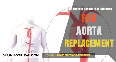 Top Hospitals for Aorta Replacement: Best Outcomes and Success Rates