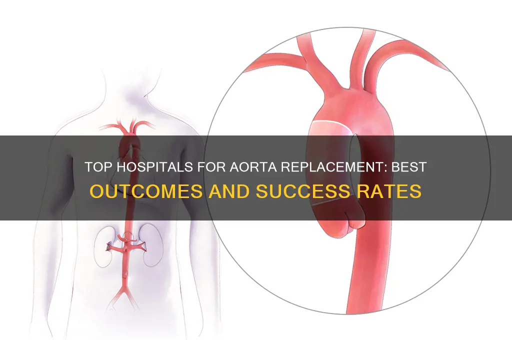 what hospital has the best outcomes for aorta replacement