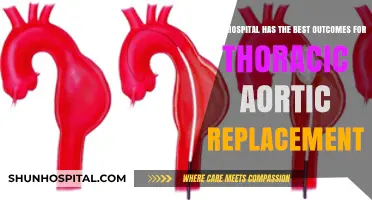 Top Hospitals for Thoracic Aortic Replacement: Best Outcomes Revealed