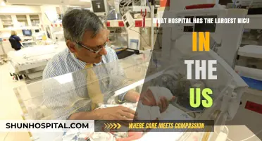 Discovering America's Largest NICU: A Comprehensive Hospital Guide
