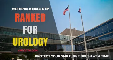 Chicago's Top-Ranked Urology Hospital: Expert Care and Excellence Revealed