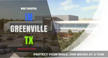 Discovering Greenville, TX: Top Hospitals for Quality Healthcare Services