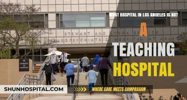 Non-Teaching Hospitals in LA: A Guide to Patient-Focused Care