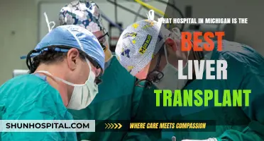 Top Michigan Hospital for Liver Transplants: Expert Care and Success Rates