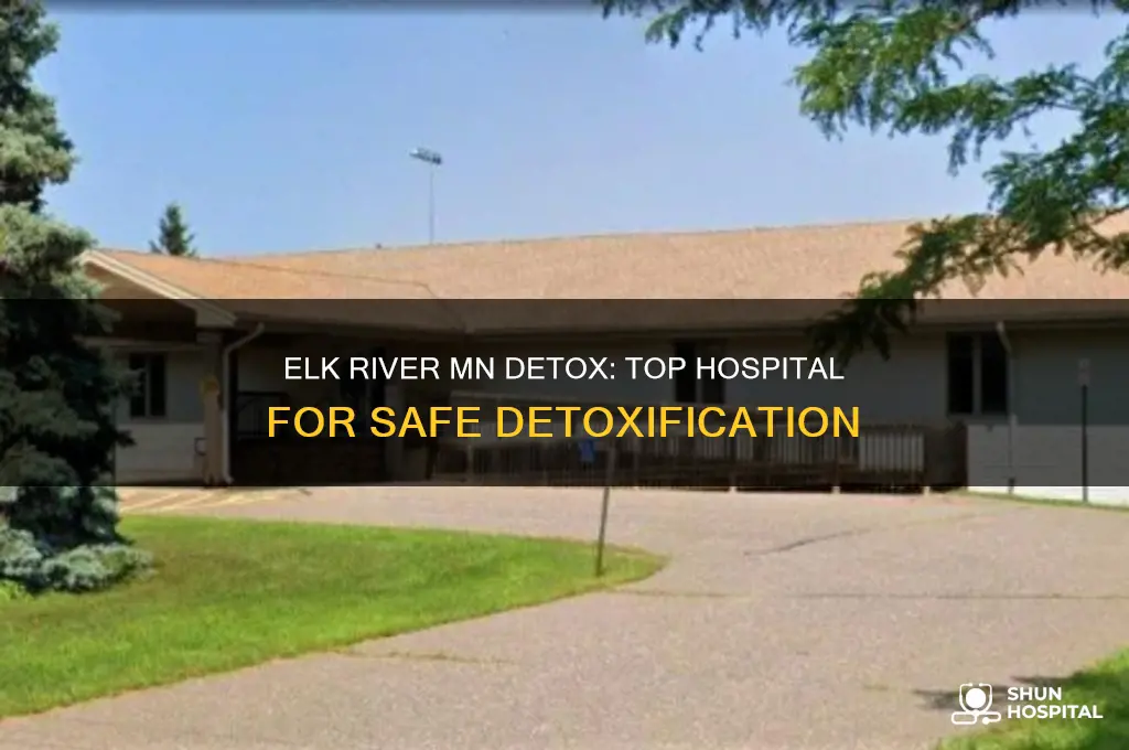 what hospital in mn does detox by elk river
