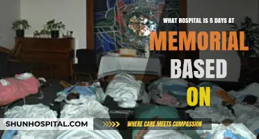 Unraveling the True Story Behind '5 Days at Memorial' Hospital