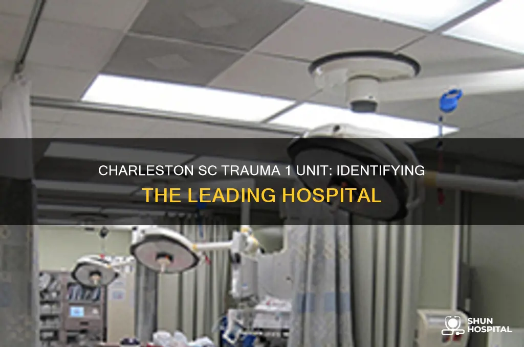 what hospital is a trauma 1 unit in charleston sc
